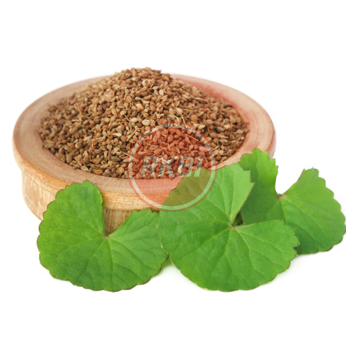 Ajwain